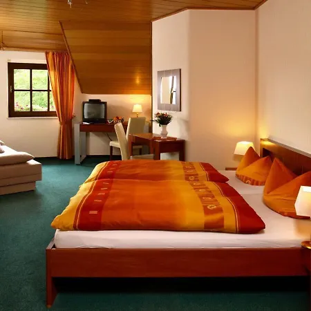 Haus Zur Sonne Sauerland Hotel 3*