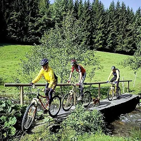 Haus Zur Sonne Sauerland 3* ハレンベルク
