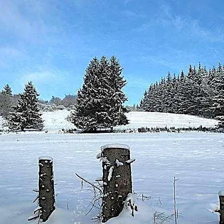 Haus Zur Sonne Sauerland ハレンベルク