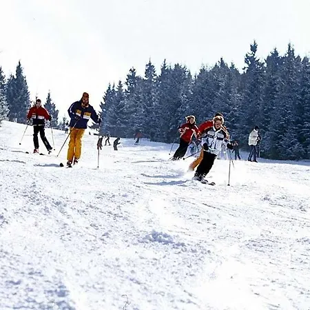 Haus Zur Sonne Sauerland ホテル 3*