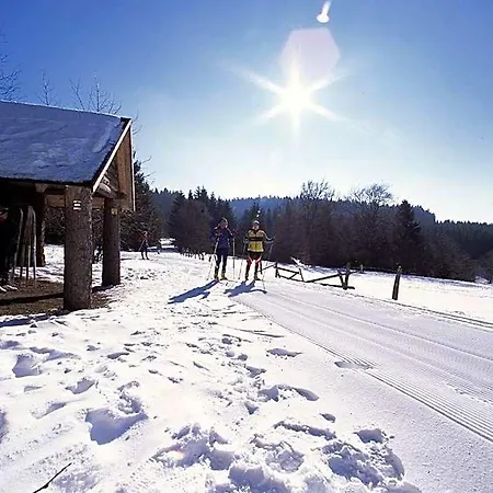 ホテル Haus Zur Sonne Sauerland ハレンベルク