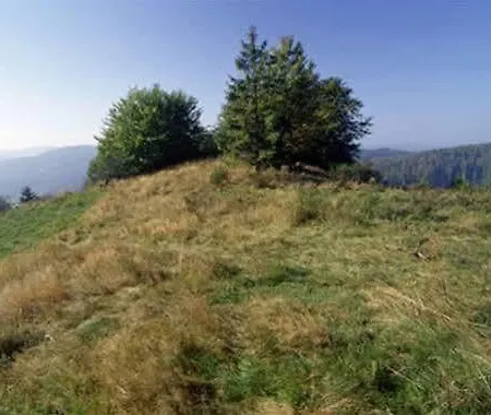 Haus Zur Sonne Sauerland Hotel